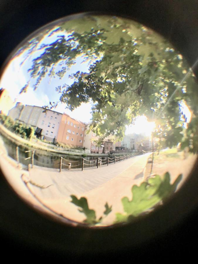 Apartamenty Dluga 6 Bydgoszcz Dış mekan fotoğraf